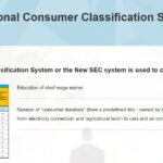 National Consumer Classification System (NCCS)