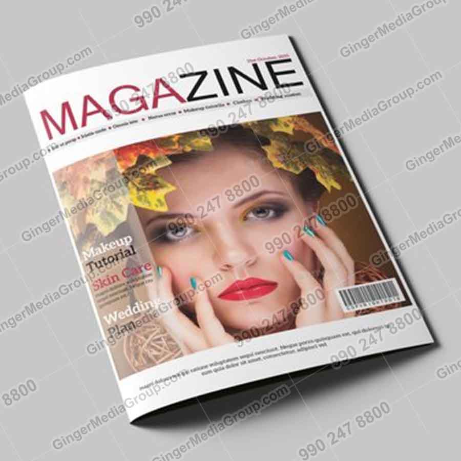 magazine advertising agra2