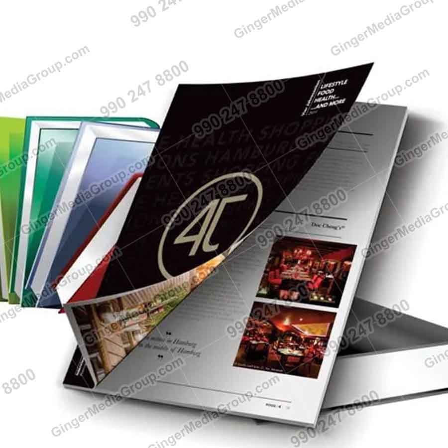 Top colors used in Auto rickshaw advertising