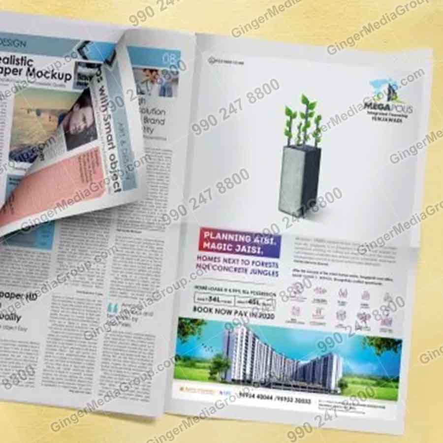 newspaper advertising delhi megapous