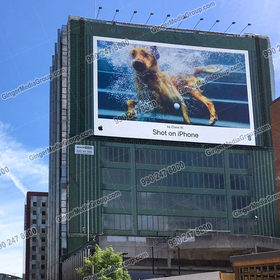 Top colors used in Auto rickshaw advertising