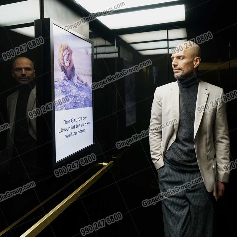 Top colors used in Auto rickshaw advertising