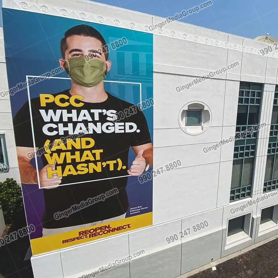 Top colors used in Auto rickshaw advertising