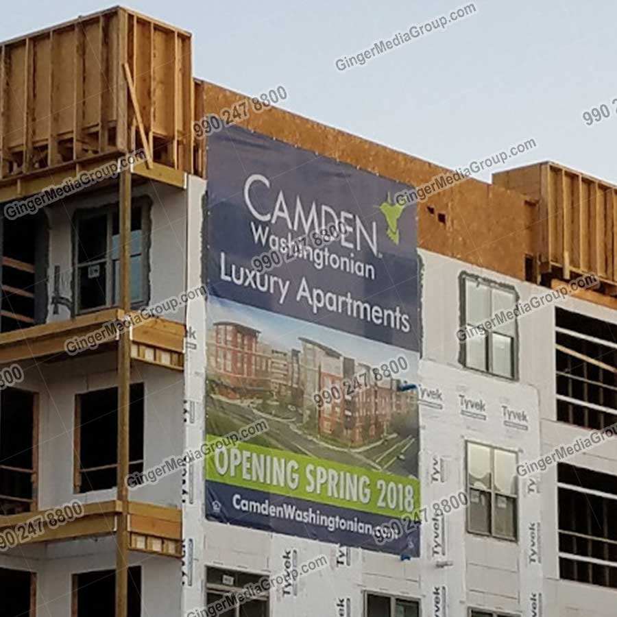 Top colors used in Auto rickshaw advertising