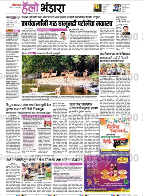 Advertising in Lokmat, Hello Bhandara, Marathi Newspaper