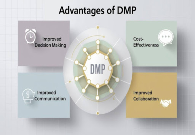 Advantages of DMP
